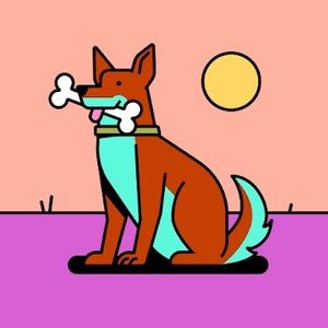 Meet your Posher, Austin